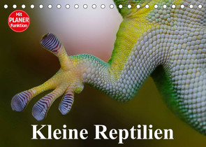 Kleine Reptilien (Tischkalender 2023 DIN A5 quer) von Stanzer,  Elisabeth