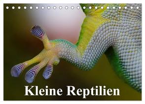Kleine Reptilien (Tischkalender 2024 DIN A5 quer), CALVENDO Monatskalender von Stanzer,  Elisabeth