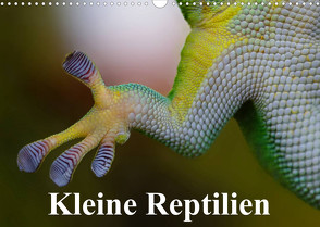 Kleine Reptilien (Wandkalender 2023 DIN A3 quer) von Stanzer,  Elisabeth