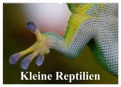 Kleine Reptilien (Wandkalender 2024 DIN A2 quer), CALVENDO Monatskalender von Stanzer,  Elisabeth