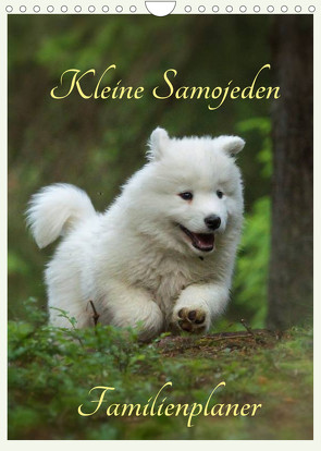 Kleine Samojeden (Wandkalender 2022 DIN A4 hoch) von Pelzer / www.Pelzer-Photography.com,  Claudia