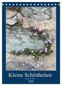 Kleine Schönheiten an Stein (Tischkalender 2024 DIN A5 hoch), CALVENDO Monatskalender von Zapf,  Gabi