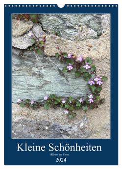 Kleine Schönheiten an Stein (Wandkalender 2024 DIN A3 hoch), CALVENDO Monatskalender von Zapf,  Gabi