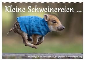 Kleine Schweinereien (Wandkalender 2024 DIN A2 quer), CALVENDO Monatskalender von Schmäing,  Werner