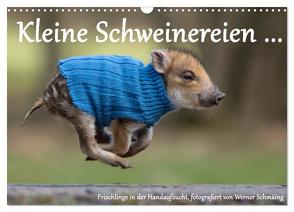 Kleine Schweinereien (Wandkalender 2024 DIN A3 quer), CALVENDO Monatskalender von Schmäing,  Werner
