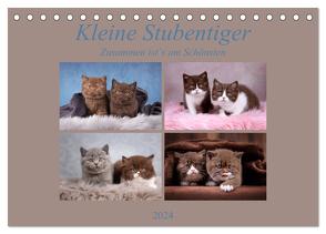 Kleine Stubenstiger (Tischkalender 2024 DIN A5 quer), CALVENDO Monatskalender von Bürger,  Janina