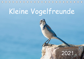 Kleine Vogelfreunde (Tischkalender 2021 DIN A5 quer) von Styppa,  Robert