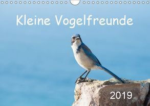 Kleine Vogelfreunde (Wandkalender 2019 DIN A4 quer) von Styppa,  Robert