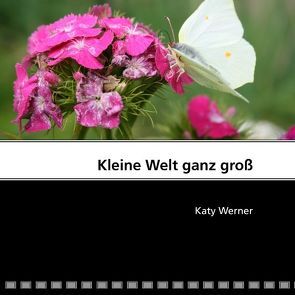 Kleine Welt ganz groß von Werner,  Katy