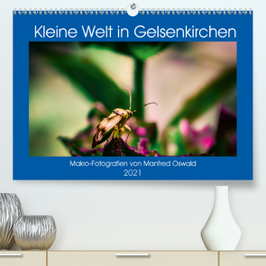Kleine Welt in Gelsenkirchen (Premium, hochwertiger DIN A2 Wandkalender 2021, Kunstdruck in Hochglanz) von Butiko-Print