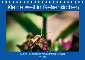 Kleine Welt in Gelsenkirchen (Tischkalender 2018 DIN A5 quer) von Butiko-Print
