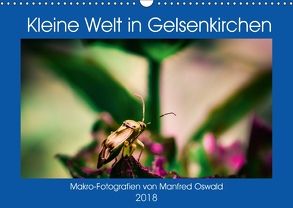 Kleine Welt in Gelsenkirchen (Wandkalender 2018 DIN A3 quer) von Butiko-Print