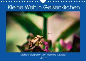Kleine Welt in Gelsenkirchen (Wandkalender 2018 DIN A4 quer) von Butiko-Print