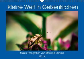 Kleine Welt in Gelsenkirchen (Wandkalender 2019 DIN A3 quer) von Butiko-Print