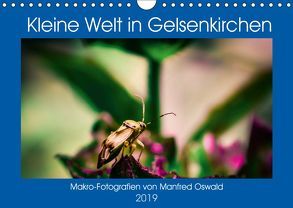 Kleine Welt in Gelsenkirchen (Wandkalender 2019 DIN A4 quer) von Butiko-Print