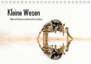 Kleine Wesen – Makroaufnahmen von einheimischen Insekten (Tischkalender 2018 DIN A5 quer) von Voigt,  Andreas