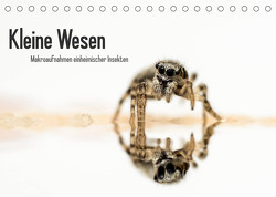 Kleine Wesen – Makroaufnahmen von einheimischen Insekten (Tischkalender 2023 DIN A5 quer) von Voigt,  Andreas