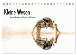 Kleine Wesen – Makroaufnahmen von einheimischen Insekten (Tischkalender 2024 DIN A5 quer), CALVENDO Monatskalender von Voigt,  Andreas
