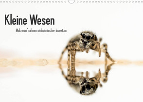 Kleine Wesen – Makroaufnahmen von einheimischen Insekten (Wandkalender 2022 DIN A3 quer) von Voigt,  Andreas