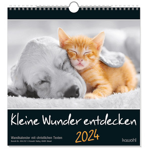 Kleine Wunder entdecken 2024