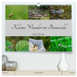 Kleine Wunder im Bienwald (hochwertiger Premium Wandkalender 2024 DIN A2 quer), Kunstdruck in Hochglanz von Di Chito,  Ursula