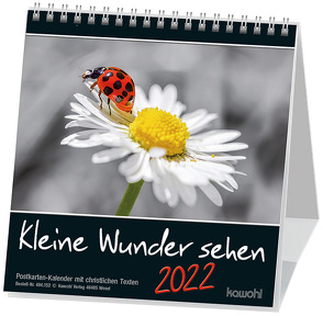 Kleine Wunder sehen 2022