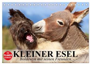 Kleiner Esel. Boldewyn mit seinen Freunden (Tischkalender 2024 DIN A5 quer), CALVENDO Monatskalender von Stanzer,  Elisabeth