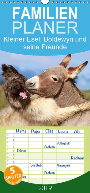 Kleiner Esel. Boldewyn und seine Freunde – Familienplaner hoch (Wandkalender 2019 , 21 cm x 45 cm, hoch) von Stanzer,  Elisabeth