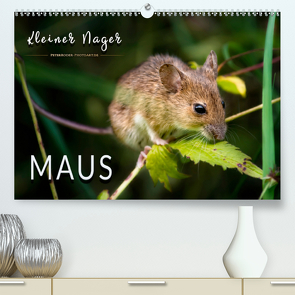 Kleiner Nager – Maus (Premium, hochwertiger DIN A2 Wandkalender 2021, Kunstdruck in Hochglanz) von Roder,  Peter