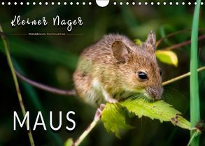 Kleiner Nager – Maus (Wandkalender 2019 DIN A4 quer) von Roder,  Peter