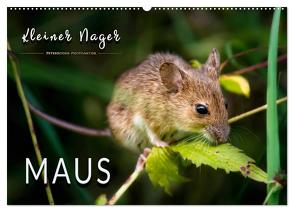 Kleiner Nager – Maus (Wandkalender 2024 DIN A2 quer), CALVENDO Monatskalender von Roder,  Peter