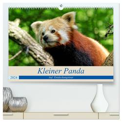 Kleiner Panda auf Entdeckungstour (hochwertiger Premium Wandkalender 2024 DIN A2 quer), Kunstdruck in Hochglanz von Hebgen,  Peter