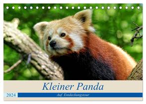 Kleiner Panda auf Entdeckungstour (Tischkalender 2024 DIN A5 quer), CALVENDO Monatskalender von Hebgen,  Peter