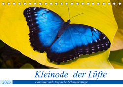 Kleinode der Lüfte – Faszinierende tropische Schmetterlinge (Tischkalender 2023 DIN A5 quer) von Maywald,  Armin