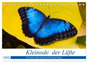 Kleinode der Lüfte – Faszinierende tropische Schmetterlinge (Tischkalender 2024 DIN A5 quer), CALVENDO Monatskalender von Maywald,  Armin