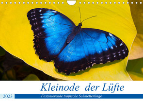 Kleinode der Lüfte – Faszinierende tropische Schmetterlinge (Wandkalender 2023 DIN A4 quer) von Maywald,  Armin