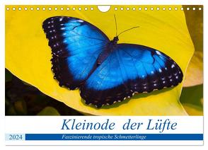 Kleinode der Lüfte – Faszinierende tropische Schmetterlinge (Wandkalender 2024 DIN A4 quer), CALVENDO Monatskalender von Maywald,  Armin