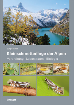 Kleinschmetterlinge der Alpen von Schmid,  Jürg