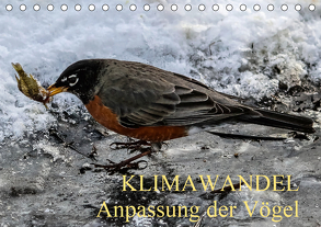 KLIMAWANDEL Anpassung der Vögel (Tischkalender 2020 DIN A5 quer) von Hoville,  Wido