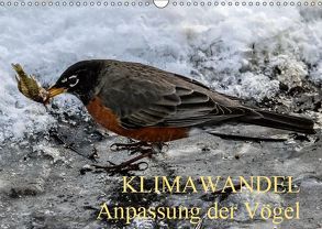 KLIMAWANDEL Anpassung der Vögel (Wandkalender 2019 DIN A3 quer) von Hoville,  Wido