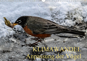 KLIMAWANDEL Anpassung der Vögel (Wandkalender 2021 DIN A3 quer) von Hoville,  Wido