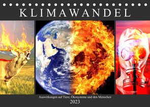 Klimawandel. Auswirkungen auf Tiere, Ökosysteme und den Menschen (Tischkalender 2023 DIN A5 quer) von Hurley,  Rose