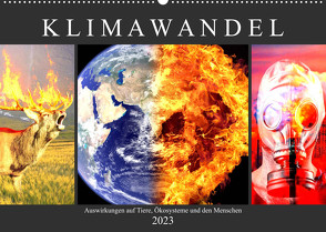 Klimawandel. Auswirkungen auf Tiere, Ökosysteme und den Menschen (Wandkalender 2023 DIN A2 quer) von Hurley,  Rose