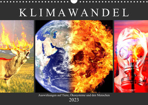 Klimawandel. Auswirkungen auf Tiere, Ökosysteme und den Menschen (Wandkalender 2023 DIN A3 quer) von Hurley,  Rose