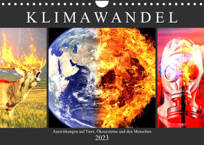 Klimawandel. Auswirkungen auf Tiere, Ökosysteme und den Menschen (Wandkalender 2023 DIN A4 quer) von Hurley,  Rose