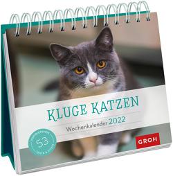 Kluge Katzen 2022 von Groh Verlag