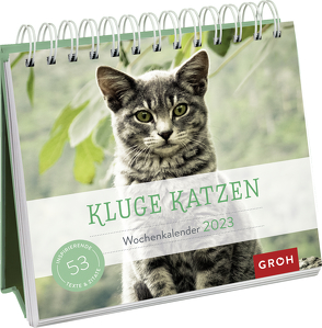 Kluge Katzen 2023 von Groh Verlag
