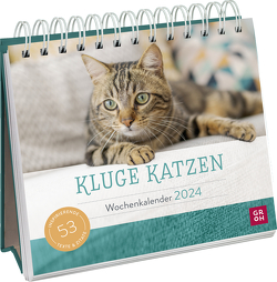 Kluge Katzen 2024 von Groh Verlag