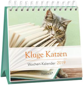 Kluge Katzen – Mini-Kalender 2019