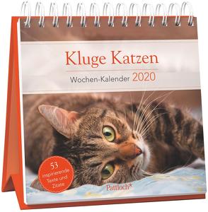 Kluge Katzen – Wochen-Kalender 2020